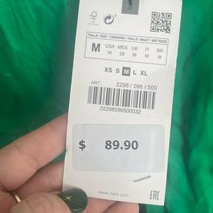 Zara dress